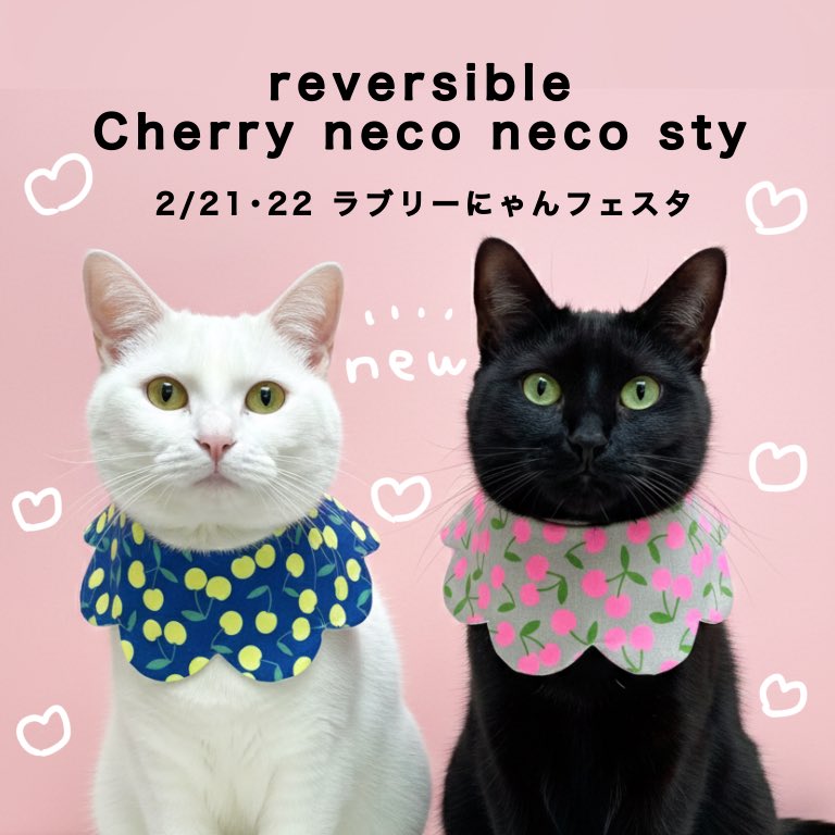 megumix◇2/16~27・TSUTAYA岡山駅前◇2/21・22ラブリーにゃんフェスタ