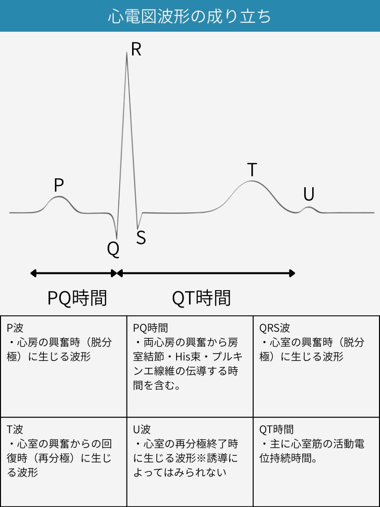 成り立ちから理解する心電図波形 心電図波形の成り立ち】について図解にまとめました！ 心電図は、波形