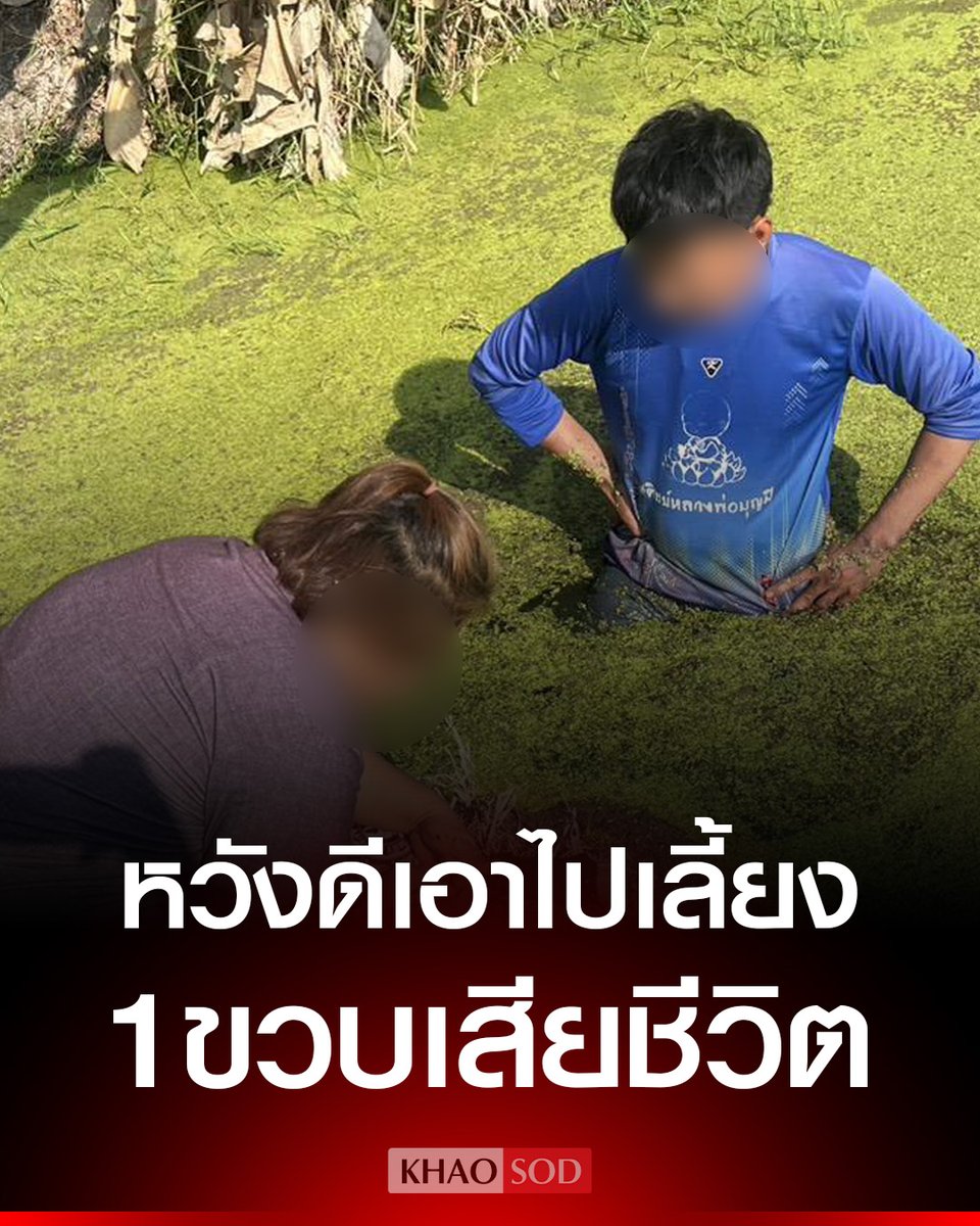 Khaosodonline tweet media