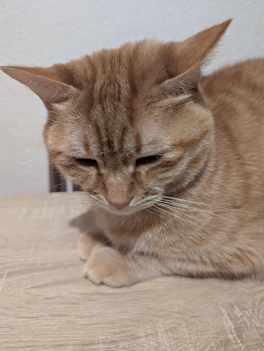 flag (@flagggot) on Twitter photo 