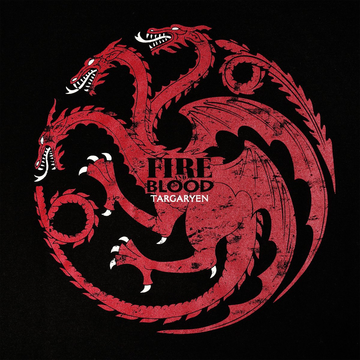 ThronesUpdates's tweet photo. First look at Prince Aegon "Egg" in a full House Targaryen outfit! https://t.co/6UByHiUJJ1
