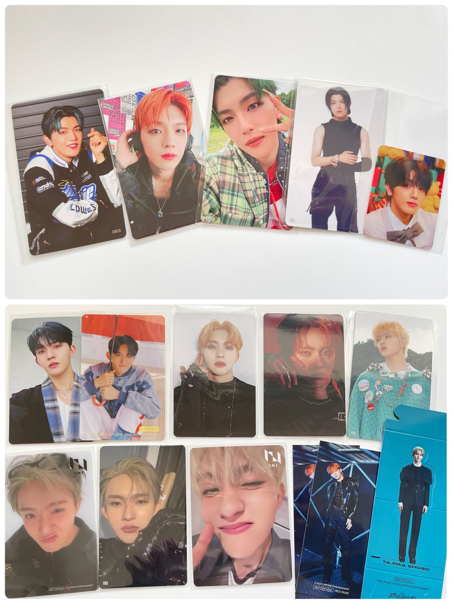 ぴこ🍄 tweet media