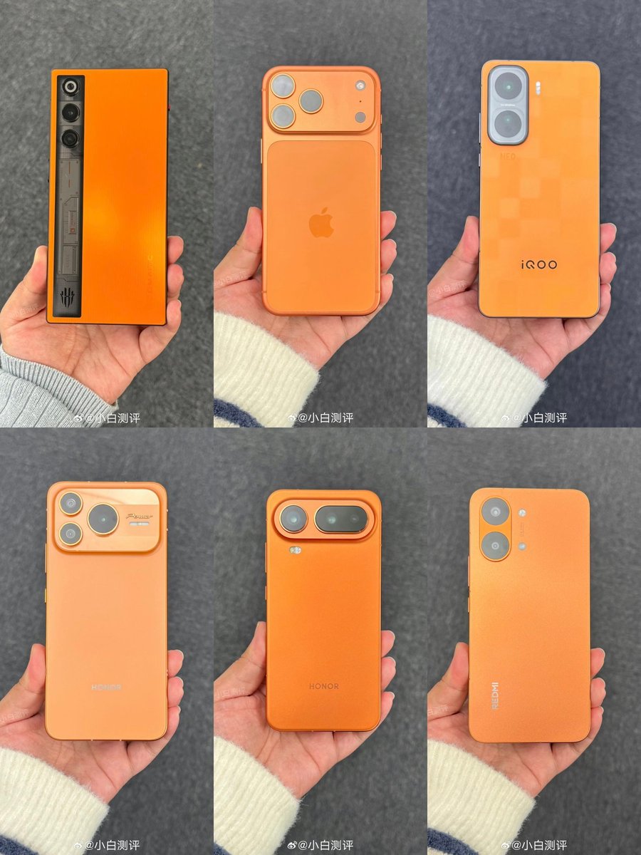 Noah Cat tweet media