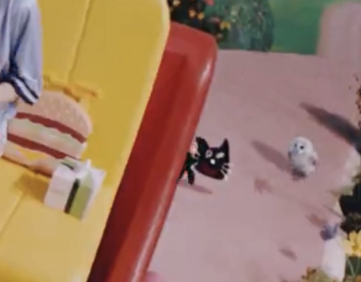 どういうことー😂😂