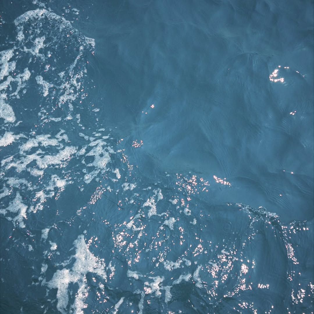 SaveFrancPH's tweet photo. 📷 02.22.26
Savesaisawat Instagram Post

Ready to 🌊 U

https://t.co/qhIQ7NAQ38

#savefranc #savesaisawat #francnrp https://t.co/IOkgJzVMPS