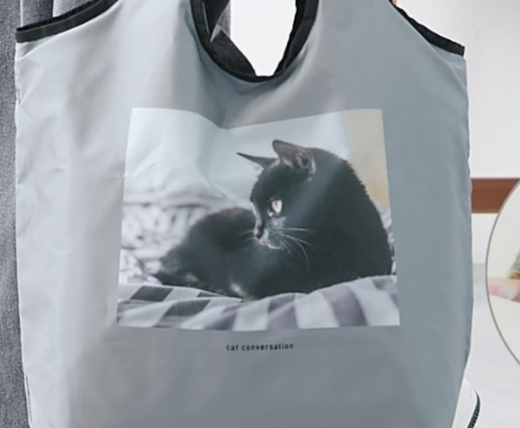 ポメ@ぽめ (@pome777) / Posts / X