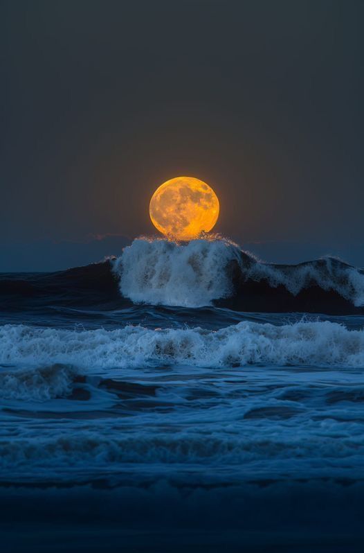 DailyMoonX's tweet photo. https://t.co/HWI5Wn90e7