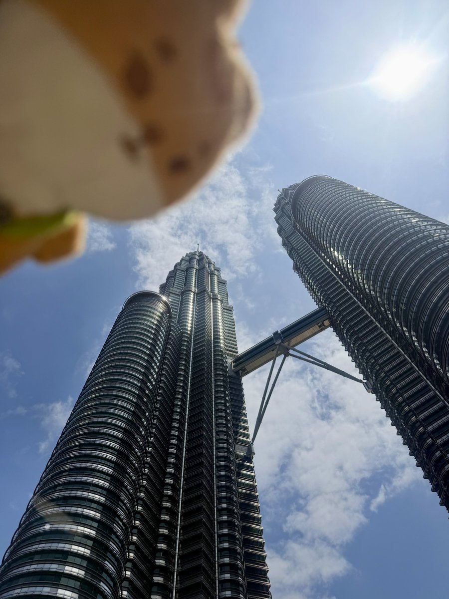 increasethebass's tweet photo. 🇲🇾 https://t.co/VzL2sCuCNM