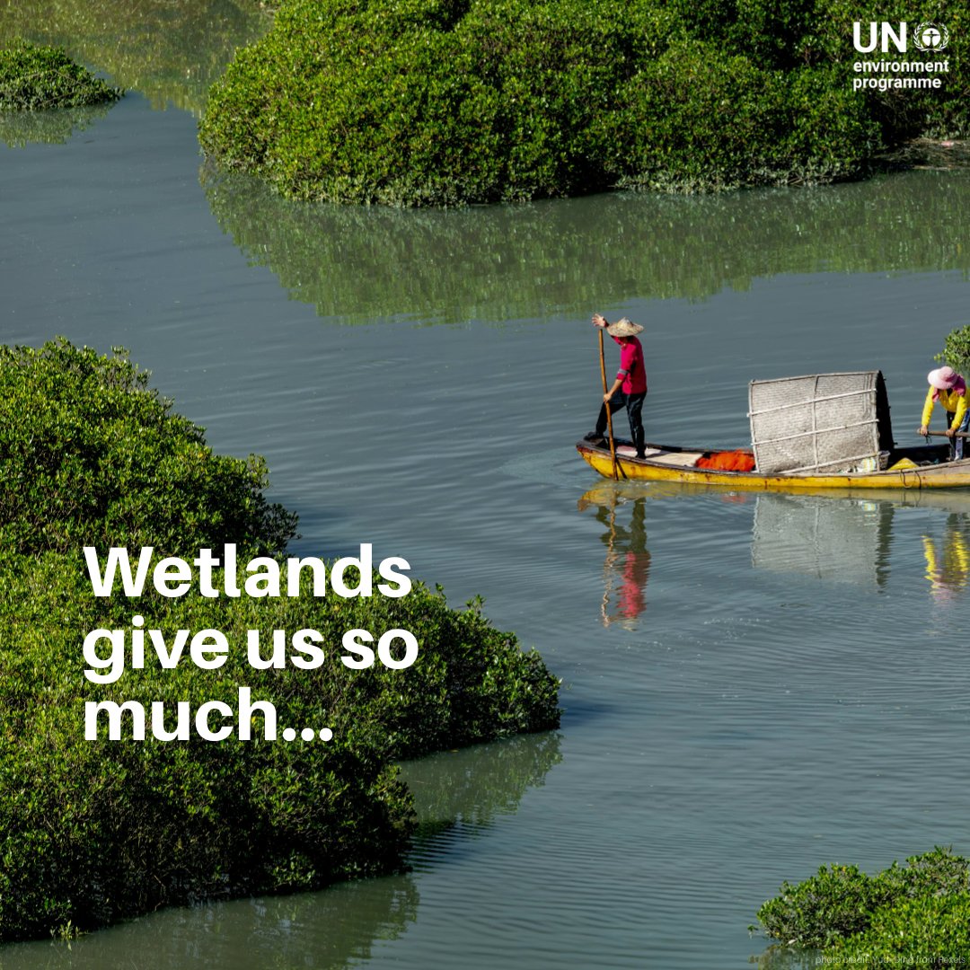 UN Environment Programme tweet media