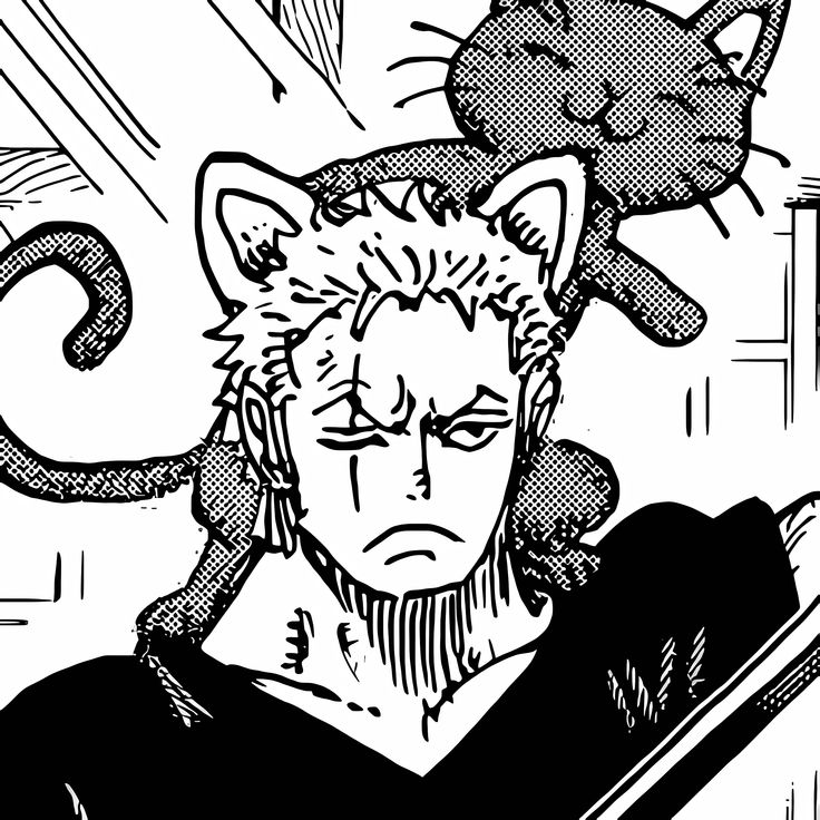 瑶𝑅𝑜 tweet media