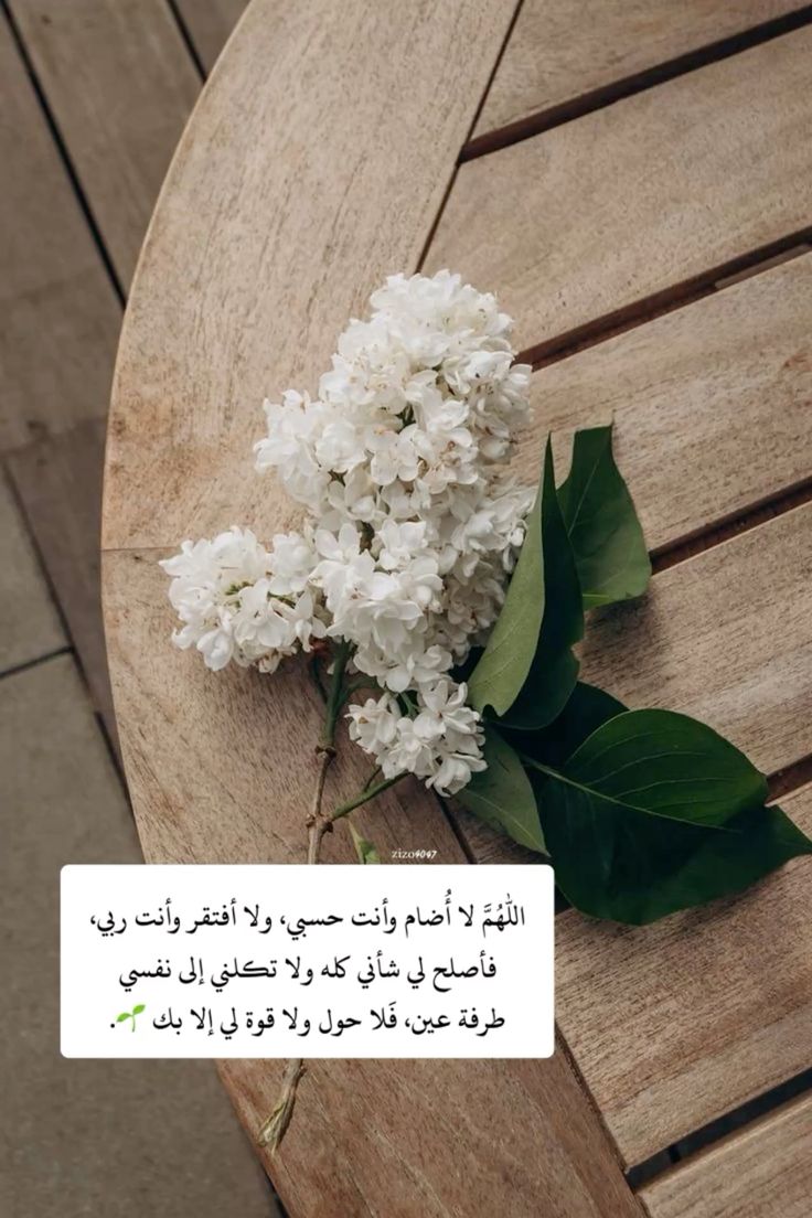 Noora (@nooraali1783865) on Twitter photo 