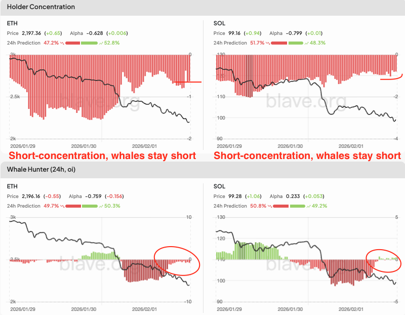 __Blave__'s tweet photo. $BTC remains in short-concentration, with whales leaning toward short covering, while bearish momentum continues.

According to the Liquidation Map, the downside shows remaining large long liquidations concentrated around 74k, while the upside is clustered near 79k. Overall, long liquidation pressure is gradually easing.

For $ETH, short-concentration is declining, with whales leaning toward short covering. For $SOL, short-concentration remains flat.
On a short-term 4h basis, tokens showing strong bearish pressure include $CTSI, $AERO, and $F. Using the screener, today’s weak tokens include BULLA, ALGO, and TIA.