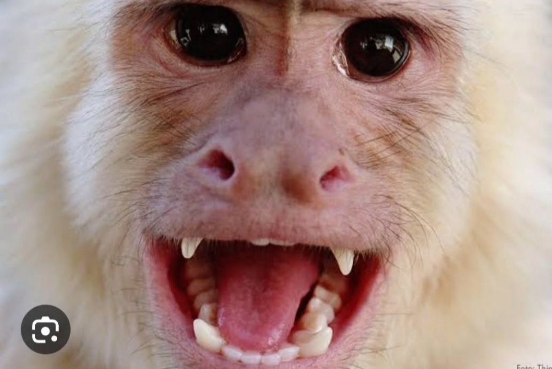 Hedrei Andrade tweet media