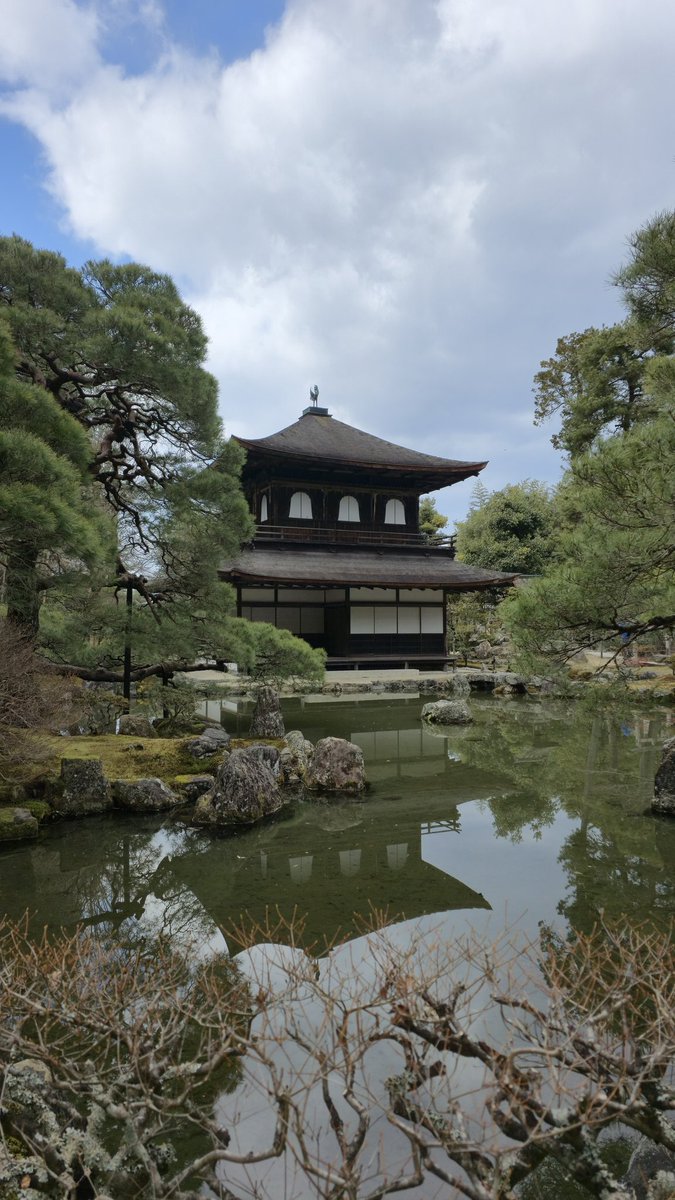 Lynkus 🎲 tweet media