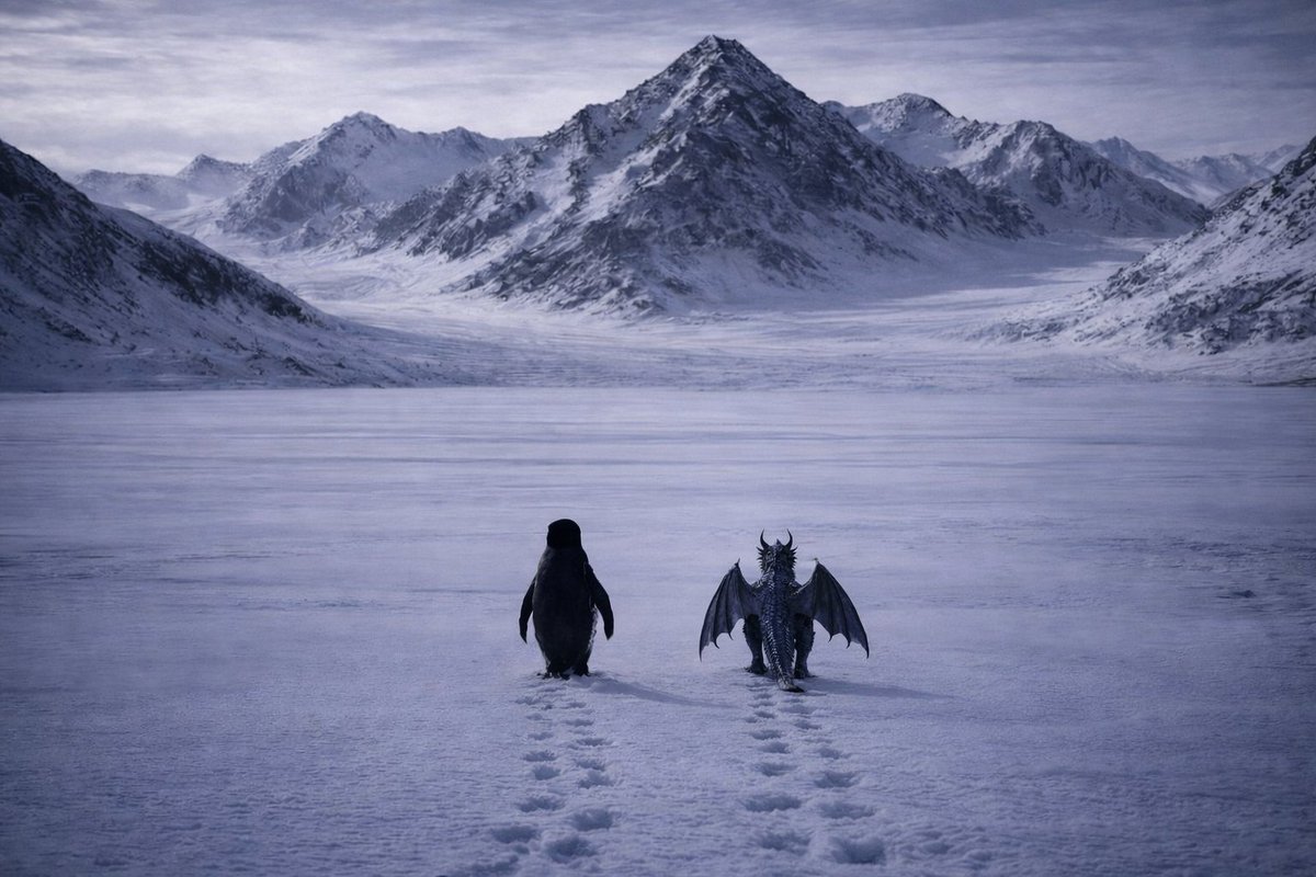 𝖀𝖈𝖆𝖓 tweet media