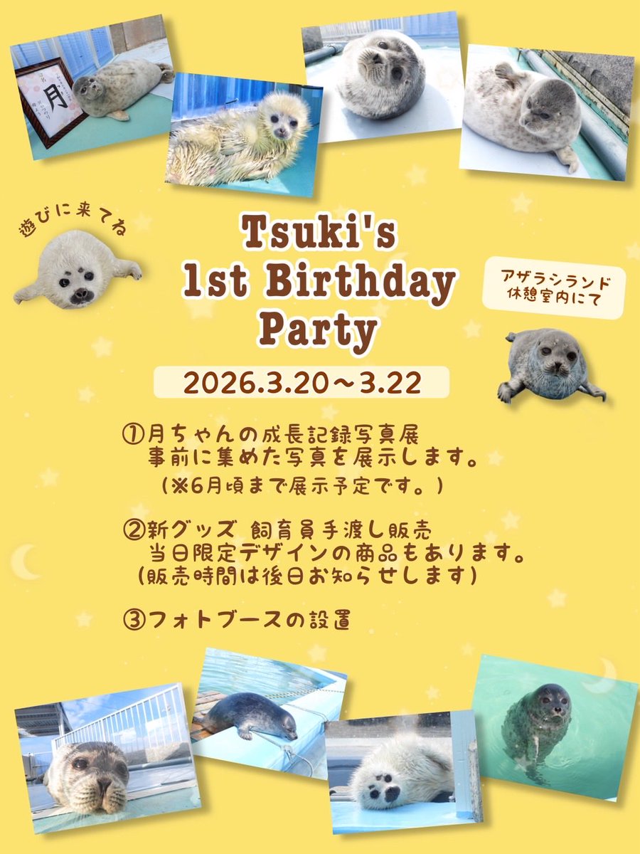 aguhiyori's tweet photo. 🦭💕月ちゃんの生誕祭🐣✨
写真は下記フォームで募集します。
よろしくお願いします☺️

https://t.co/zwCBnVykEC https://t.co/s3Fh7rLMQm