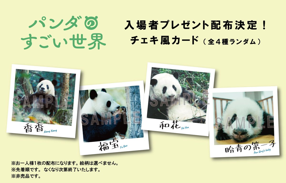 来場者プレゼント】 ☆『#パンダのすごい世界』 当館にて2/6(金)より