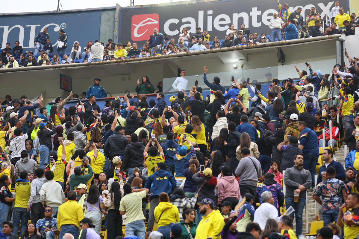 Alvaro10fidalgo's tweet image. Hoy os hablo con el corazón en la mano.
El 1 de febrero de 2021 me monté en el avión con muchos objetivos, crecer, disfrutar, trascender y ganarme el cariño de un club gigante con millones de aficionados. Tenía una idea del equipo y el País al que llegaba, pero todo superó mis…