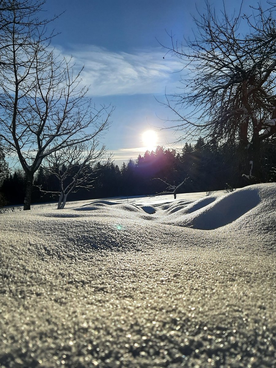 Cold morning 
-24