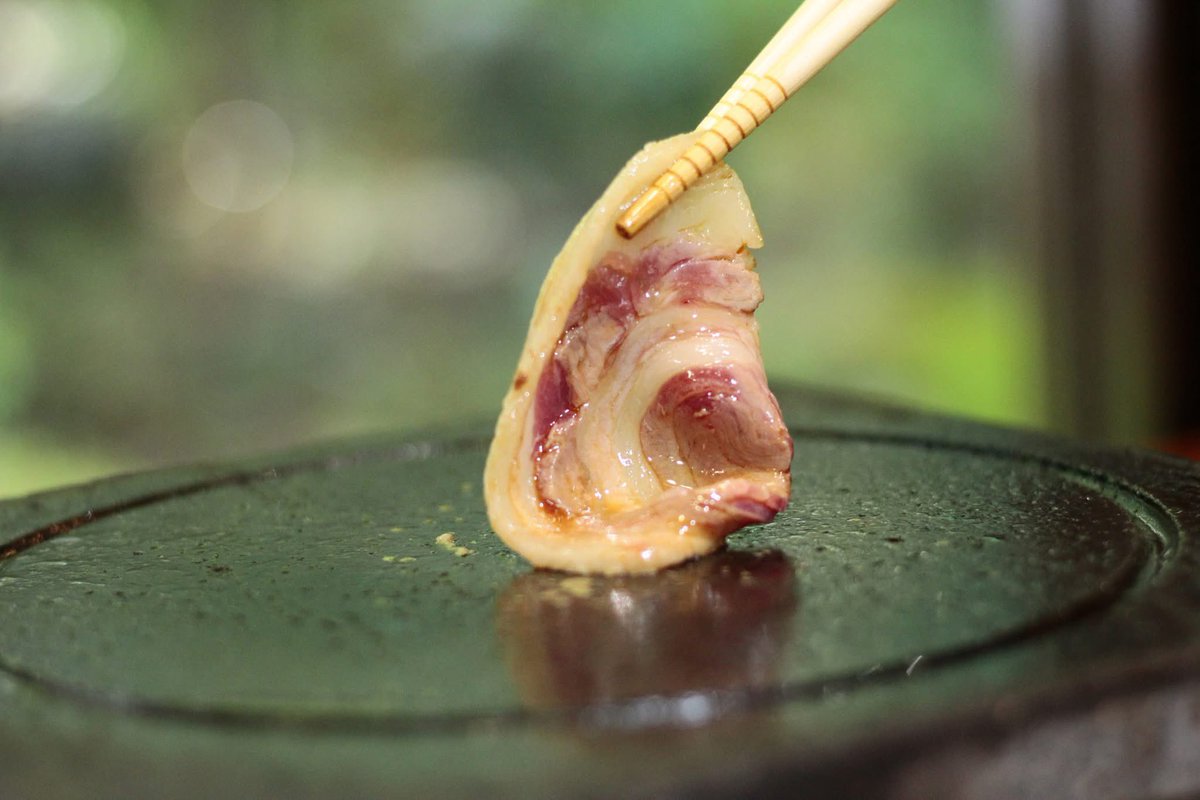 sato_miso's tweet photo. 当宿　大原の里　オリジナルの「ぼたん焼肉」が人気です。

＜ぼたん肉の焼肉＞
京都産の猪肉はくさみが全く無く、上質な脂の旨味があり、重さを感じることがなく召し上がっていただけます。当宿特製のタレや塩を絡ませるとさらに旨味が増します。
ご飯がお好きなお客様は存分にお米にバウンドさせてお召し上がりください。お米に染みた旨味成分がたまらなく美味しいです。

＜お召し上がり方＞
特製ブレンドした味噌ダレと醤油ベースのタレ、そして厳選した塩をご用意。当宿オリジナルの塩生山椒とも相性ばっちりです。

※特製の牡丹肉焼肉プレートには数に限りがありますので、お早めにご予約くださいませ。

日本の各予約サイトからご予約下さいませ。（海外予約サイトでは提供しておりません。）

#民宿大原の里
#大原温泉
#味噌庵
#日帰り温泉
#鯖の味噌煮
#京都大原
#ぼたん鍋
#ぼたん焼肉