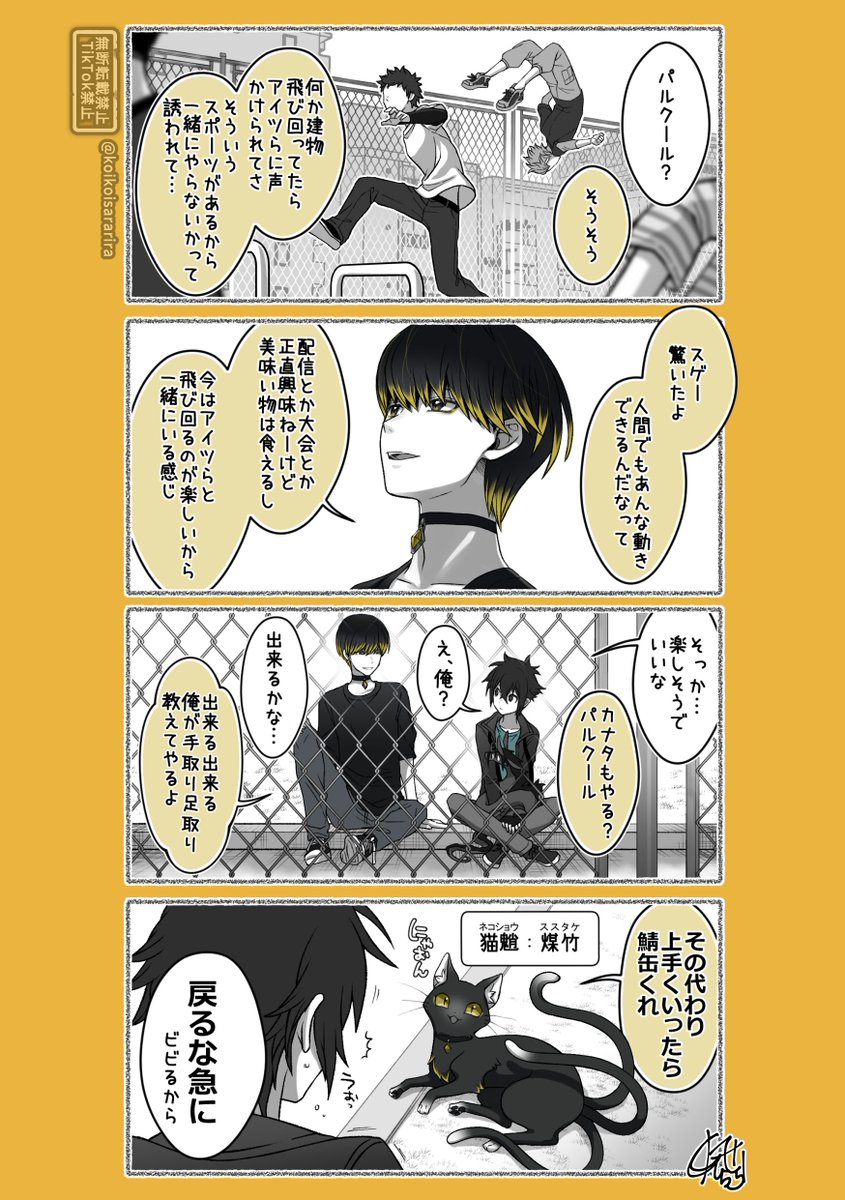 koikoisararira's tweet photo. 再掲『猫又と猫魈と』 https://t.co/bKmNmeVhE1