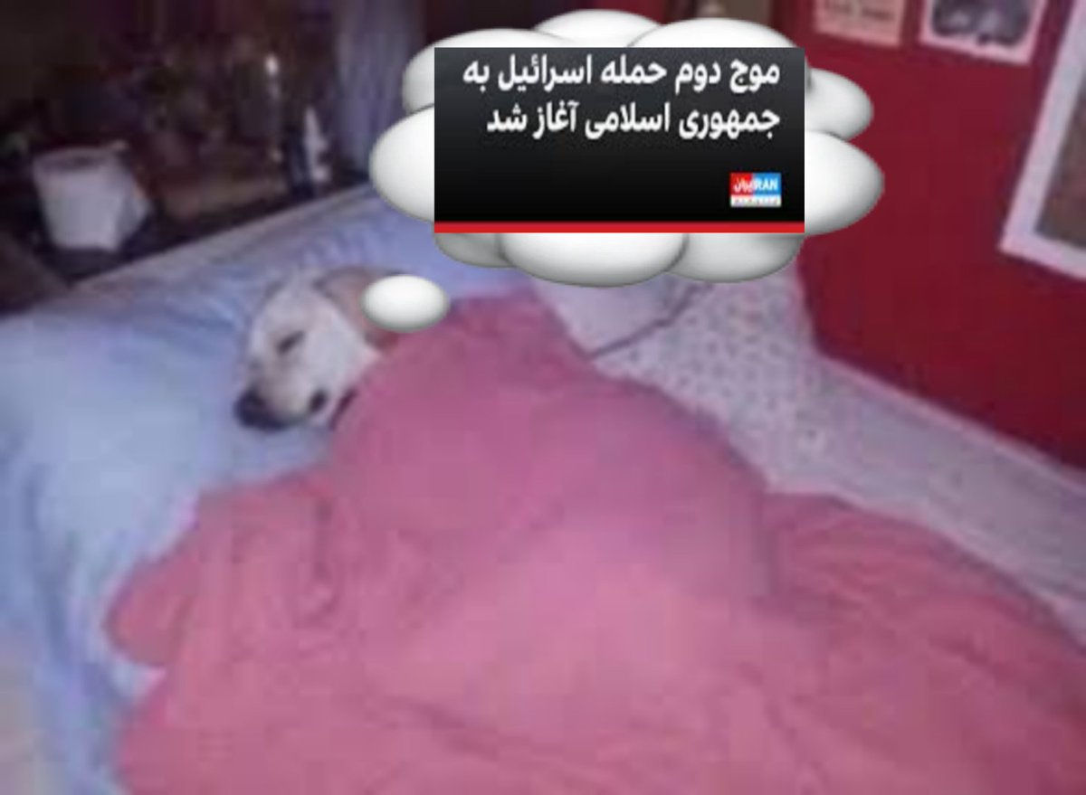 Dragon (@dragonarrives) on Twitter photo 