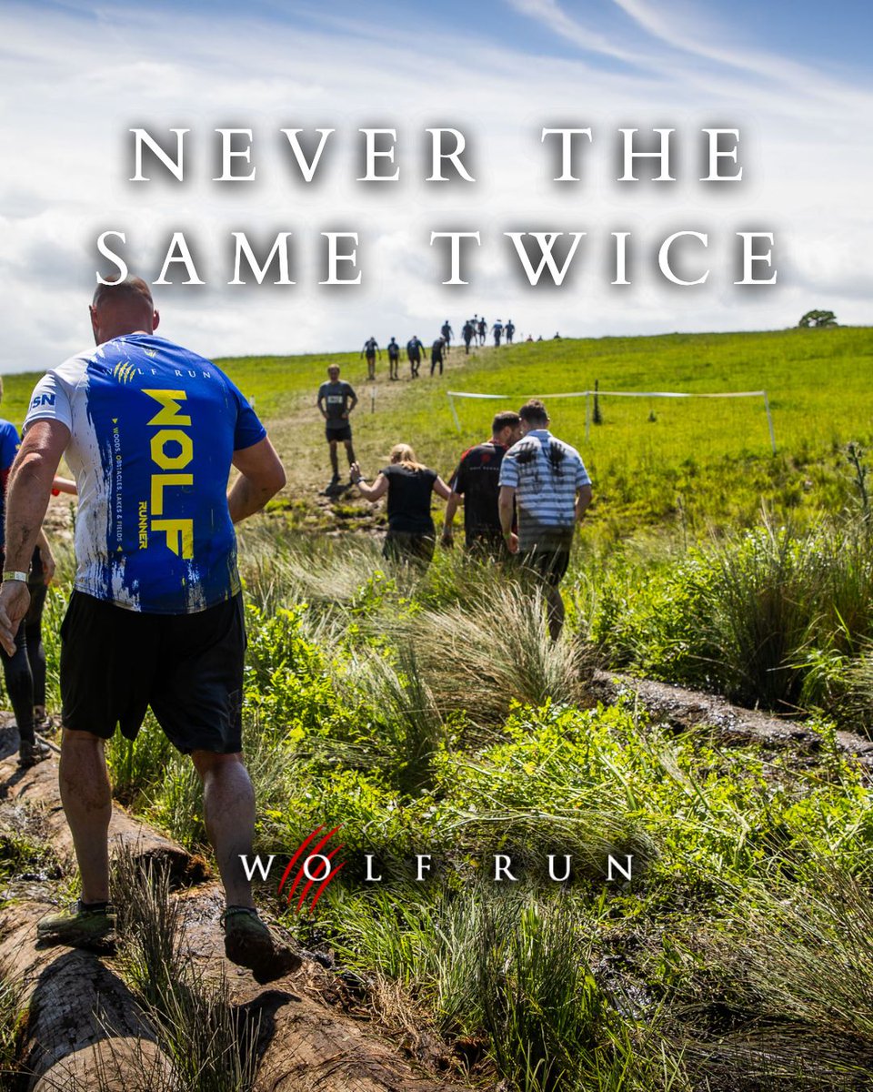 The Wolf Run tweet media