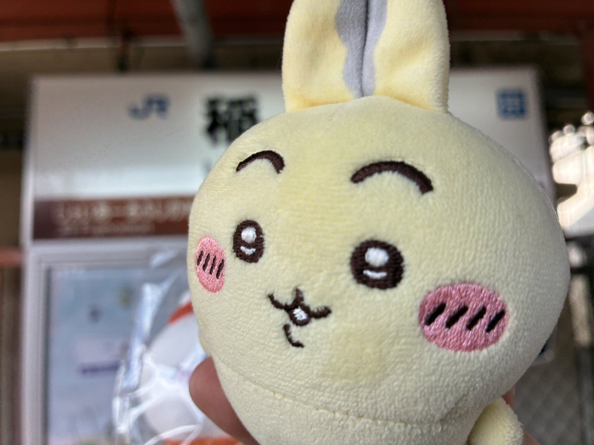 いくら (@shakeikuras) / Posts / X