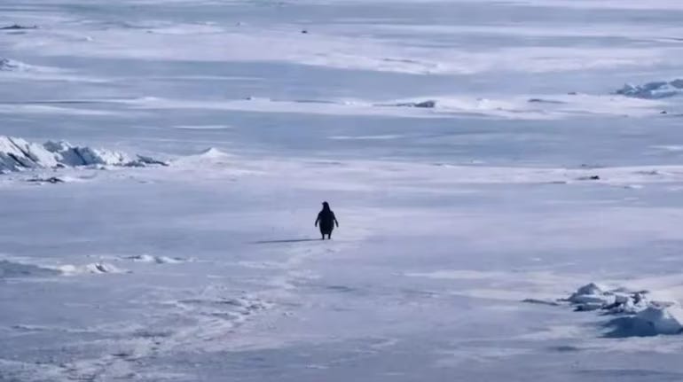 The Bridge 1859 tweet media