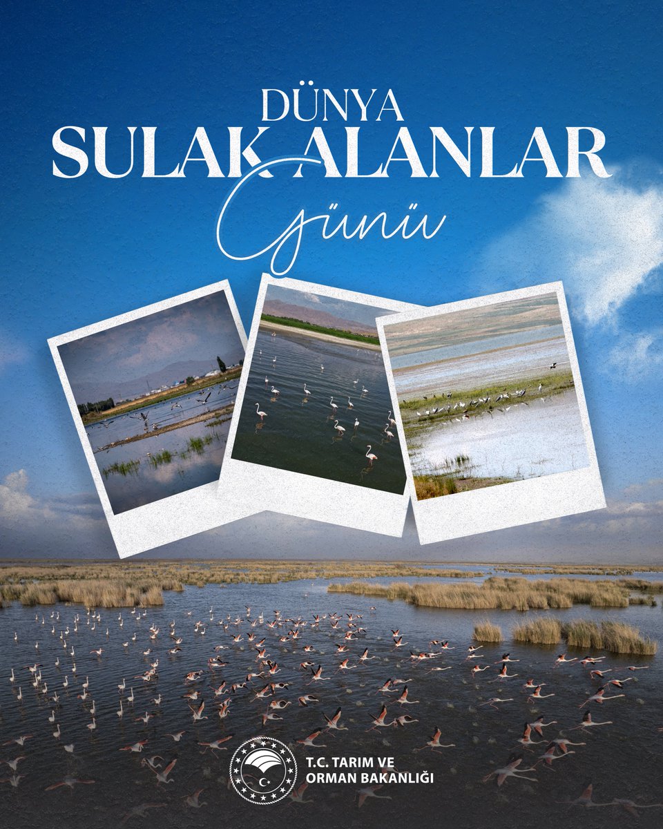 💧 Suyun hayat verdiği, toprağın nefes aldığı, binlerce canlının yuva bulduğu sulak alanlarımız; doğanın en hassas ve en değerli ekosistemleridir.

🏞️ 2 Şubat Dünya Sulak Alanlar Günü vesilesiyle; ülkemizde koruma altına aldığımız 1,2 milyon hektarlık 138 sulak alanla, doğal
