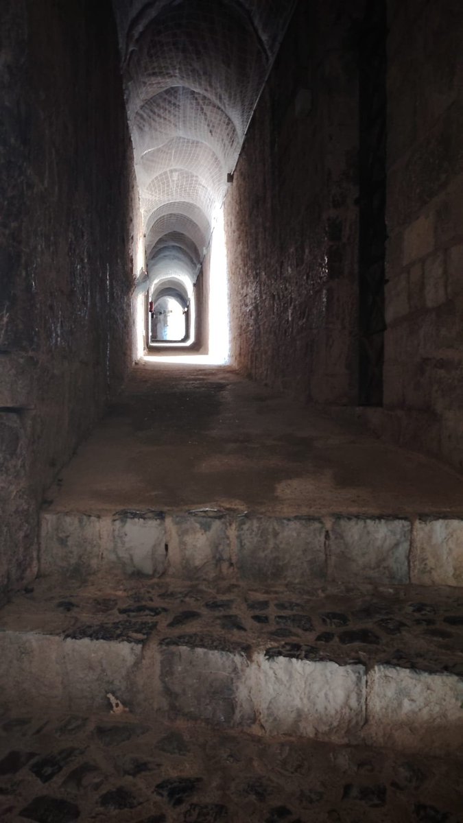 Buenos días
#letrasalacarta
Siempre hay luz al final.
Atravesar la oscuridad,es parte de desafío.
Es verdad que sin sombras, no hay claridad.
A medida de caminas vas comprendiendo la verdad.
Los primeros pasos son los más difíciles. Luego la marcha te lleva más allá.
#microcuento