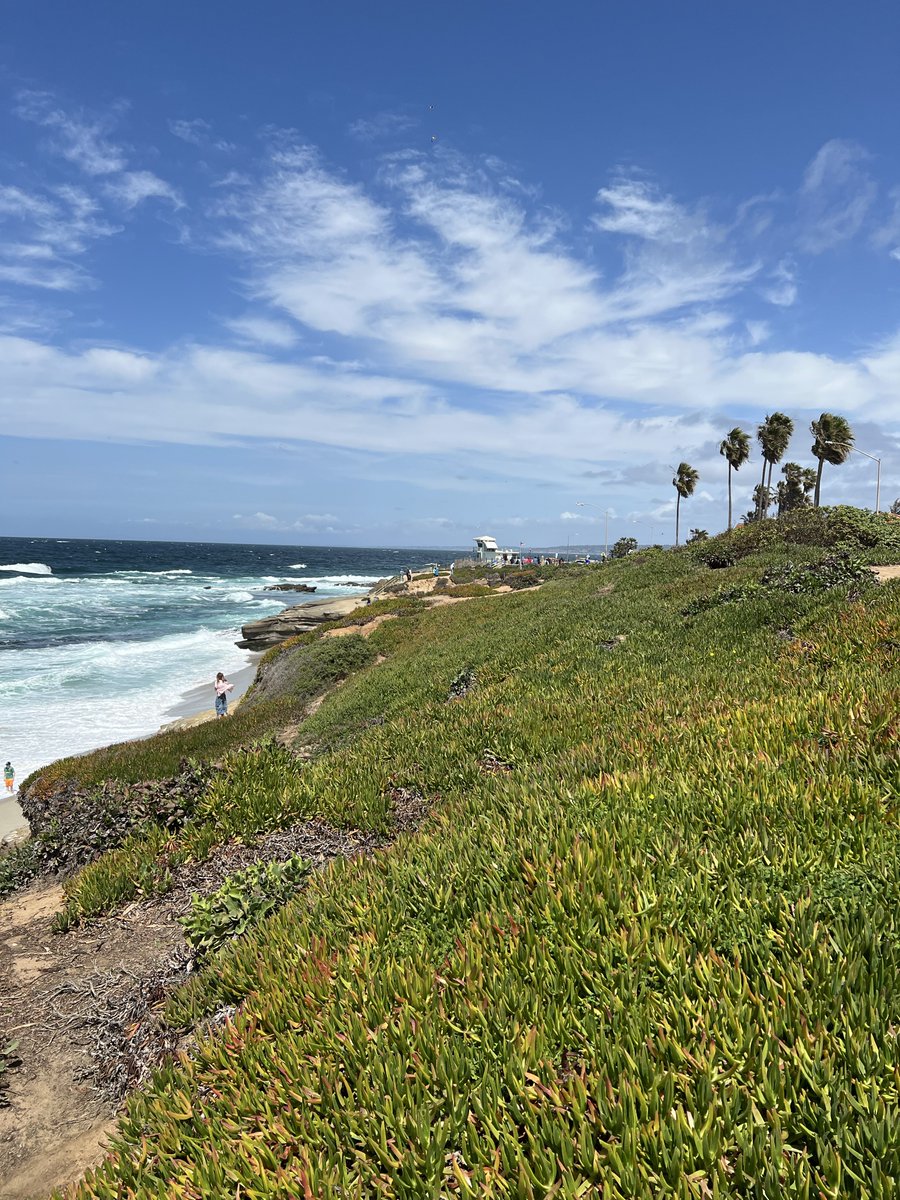 فوق تلك التلالِ اُفردْ جناحَك
تحلمِ الشمس أن تحيِّي صباحَك

أفُقٌ أزرقٌ، وكلُّ غناءِ الـ..
.. ـكون مِن ههنا يُطيع رياحَك

(كلفورنيا) وأنتَ.. وجهاً لوجهٍ
مِن نهاراتها ستشربُ راحَك

- عبدالله