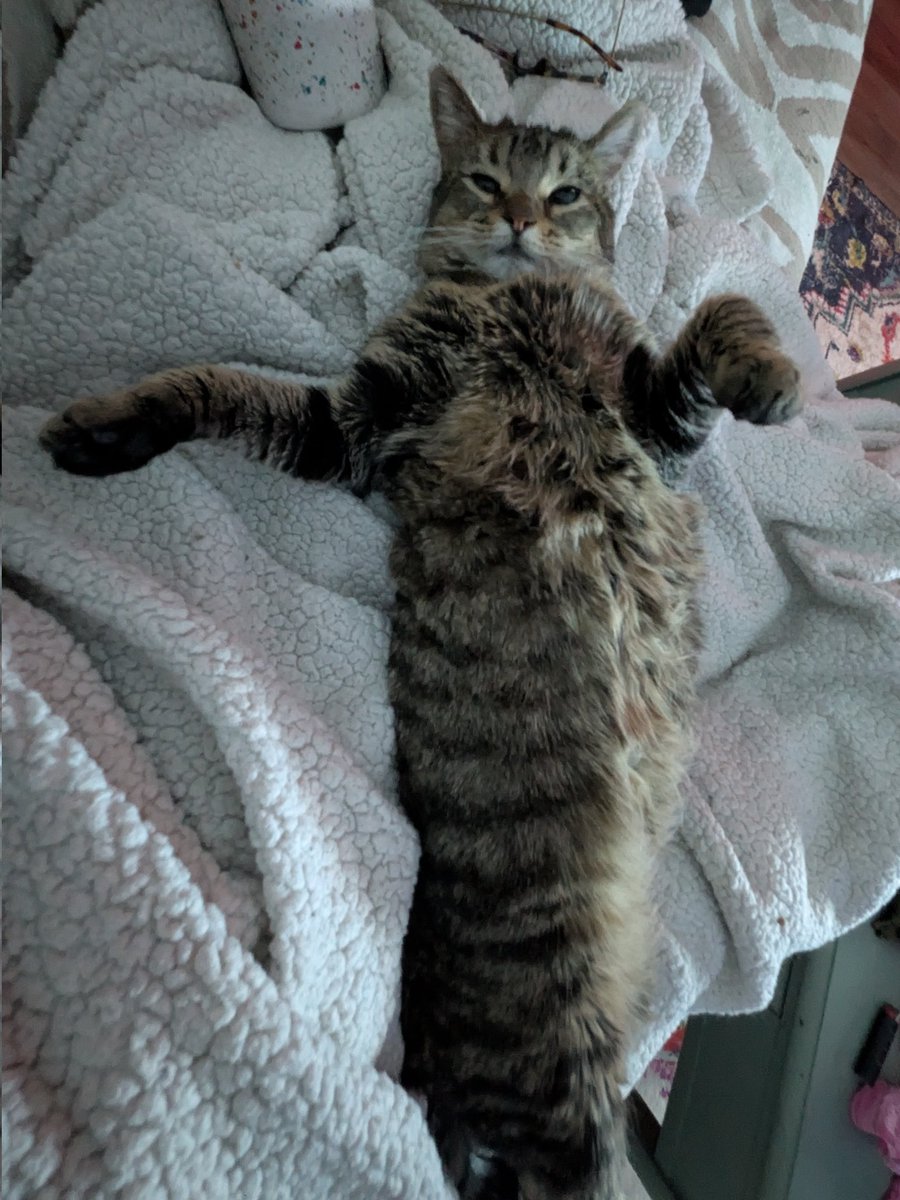 scootie (◍•ᴗ•◍)✧*。 tweet media