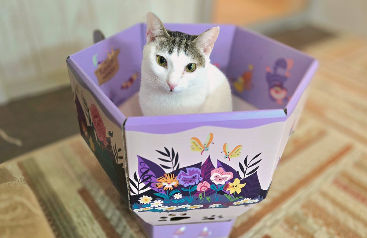 にゃん太郎 (@nyannyan__taro) / Posts / X