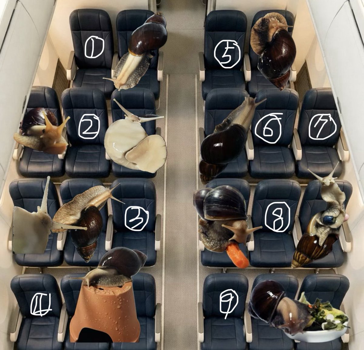 🐌아카이빙 tweet media