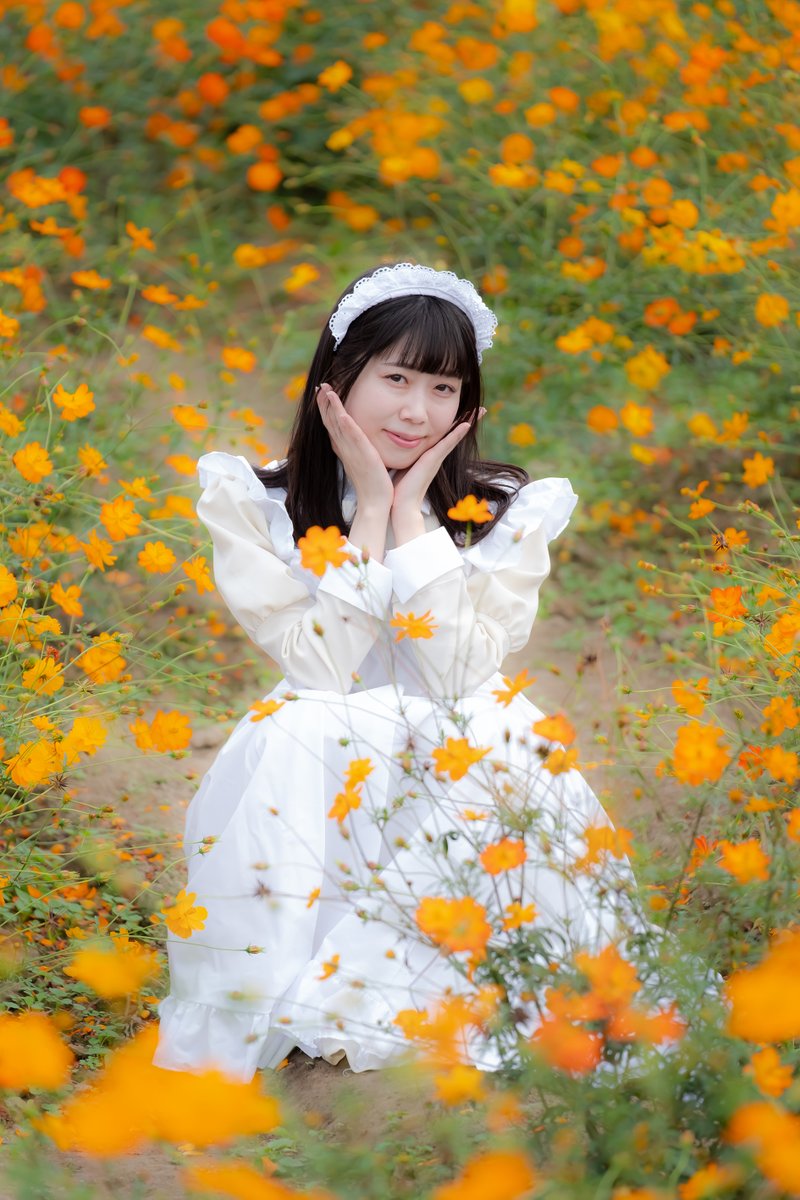Yama_ver2's tweet photo. メイドx秋桜
(2025) https://t.co/muQx8ESYjB