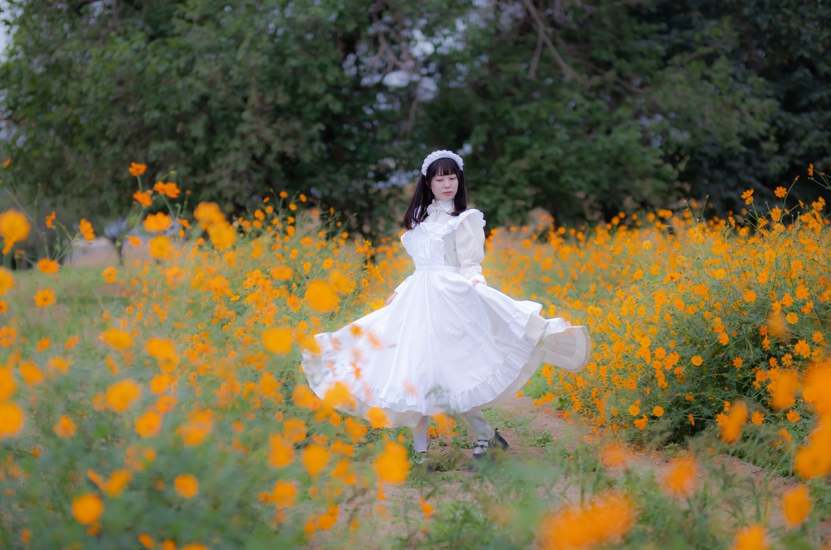 Yama_ver2's tweet photo. メイドx秋桜
(2025) https://t.co/muQx8ESYjB