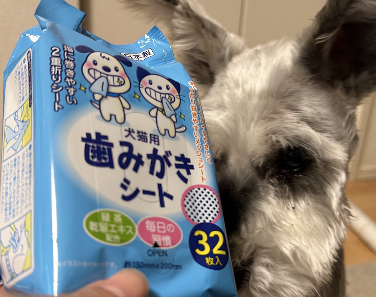 本川まあさ🍞cb750 (@maasa_0203) / Posts / X