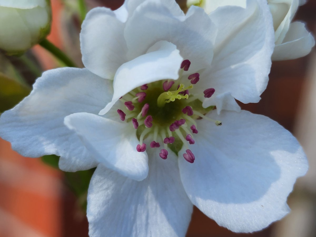 水野 敬生🏅🏅🏅🏅🏅🏅🏅🏅 tweet media