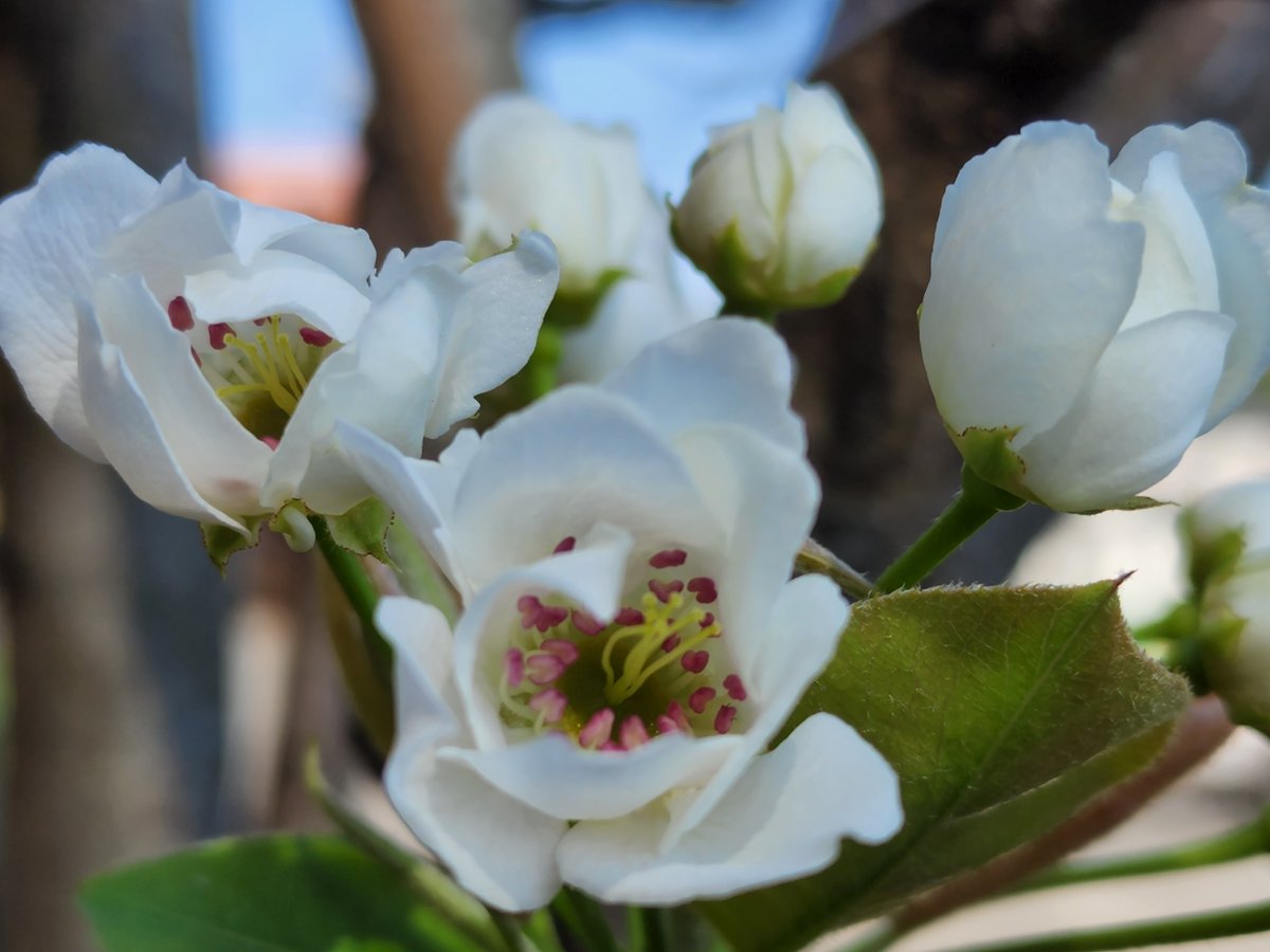 水野 敬生🏅🏅🏅🏅🏅🏅🏅🏅 tweet media