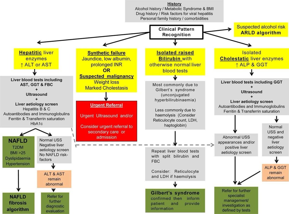 A clinical algorithm flowchart used for the diagnosis and management of abnormal liver blood tests. 

gut.bmj.com/content/67/1/6