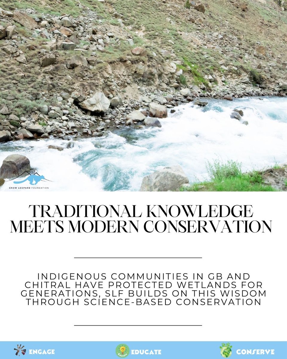 Snow Leopard Foundation tweet media