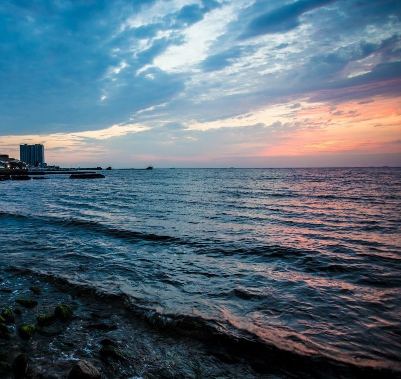 Катерина Галич tweet media