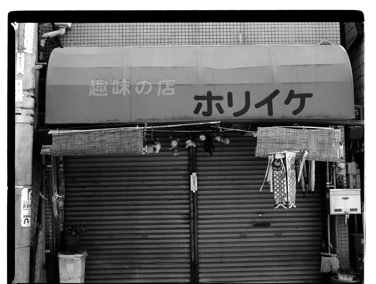 TK_ photo tweet media