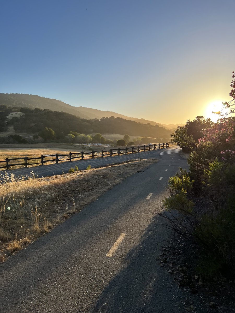 TStocklein's tweet photo. "As you start to walk on the way, 
the way appears.”     
- Rumi 

Clarity doesn’t come before action.

It comes FROM action. https://t.co/UfRdKqhgLE