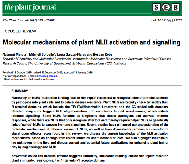 Mitchell Sorbello tweet media