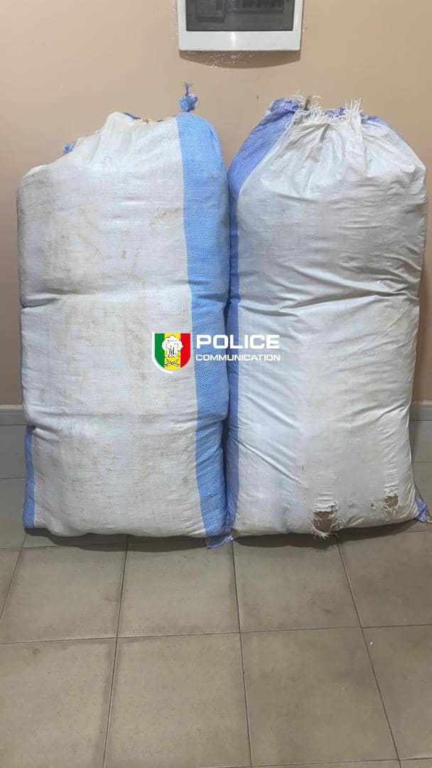 PoliceNationSN's tweet photo. #Saisie : La BRS de Kaolack frappe un grand coup !
L’OCRTIS a intercepté 55 kg de chanvre indien ce samedi à Ngathie Naoude.
Bilan :• 1 individu interpellé. • 55 blocs saisis, dissimulés dans les champs salins.
La lutte contre la criminalité transfrontalière s'intensifie.
#Stup https://t.co/SH9yDW8yJG