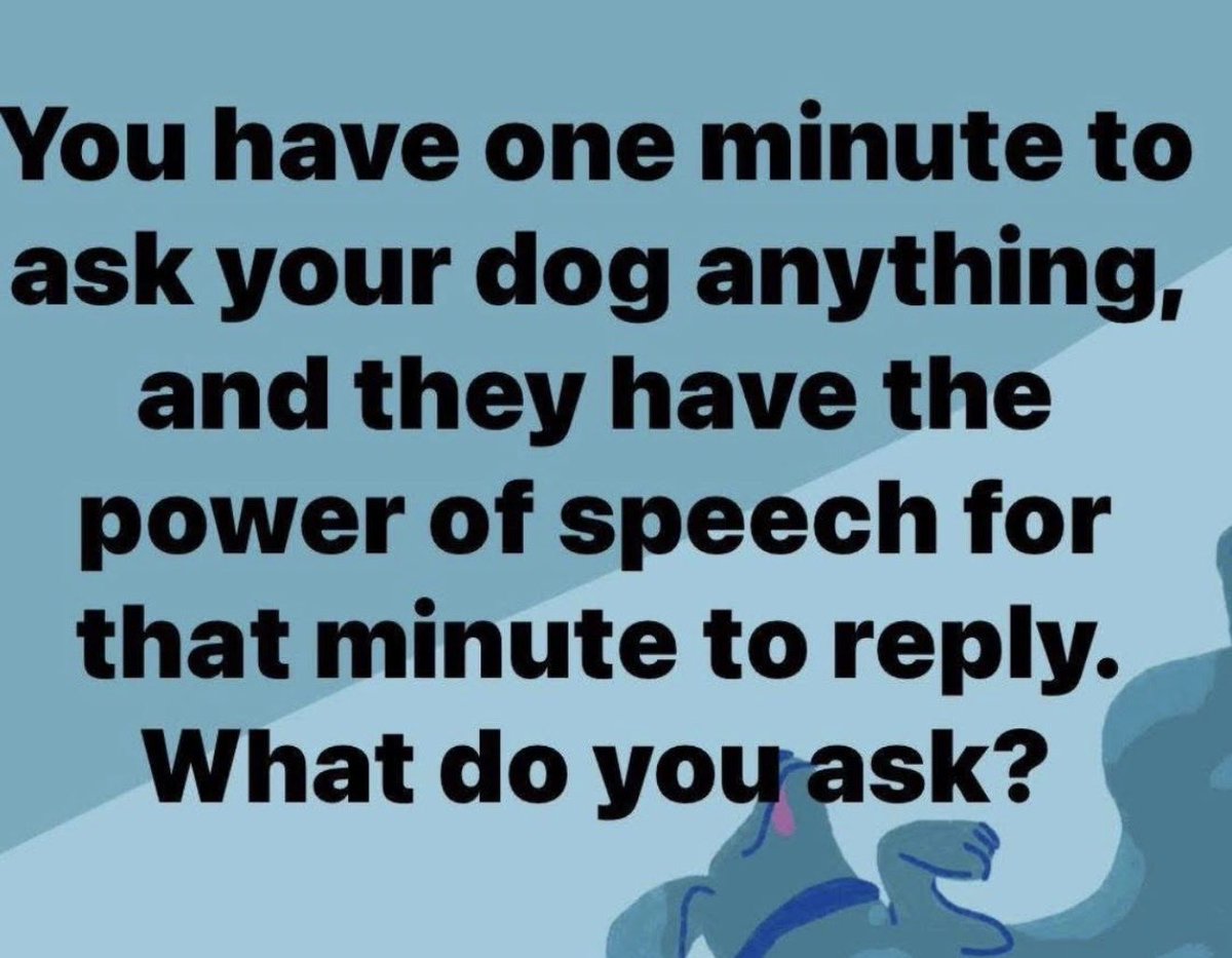 Fabulous Finn®️ tweet media