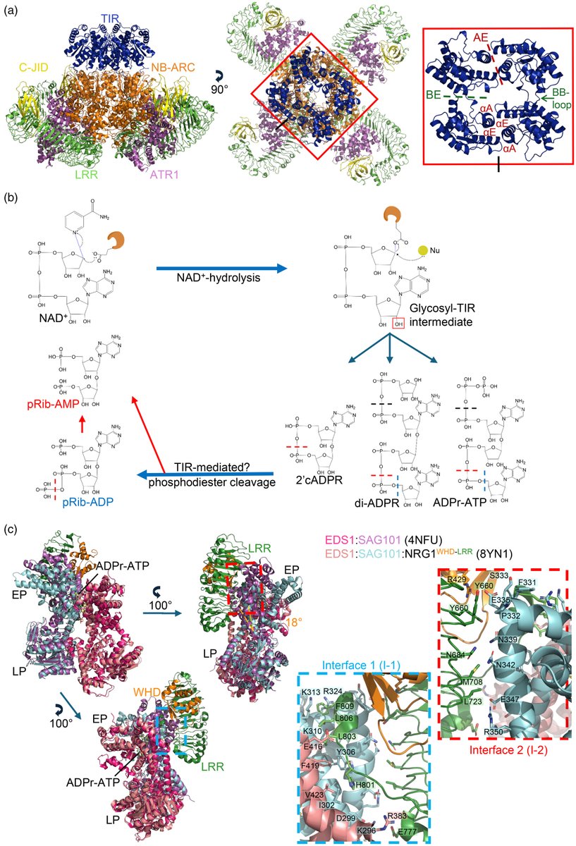 Mitchell Sorbello tweet media