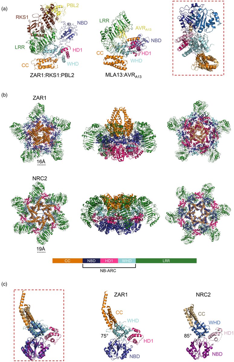 Mitchell Sorbello tweet media